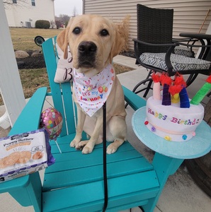 Fundraising Page: Lisa Spreacker